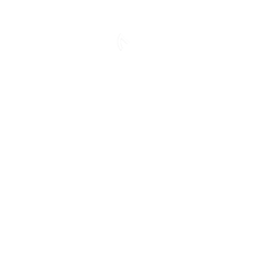 Merch Junction